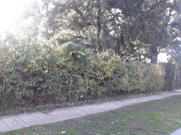 Manuel Artigas 3500, Villa de Mayo