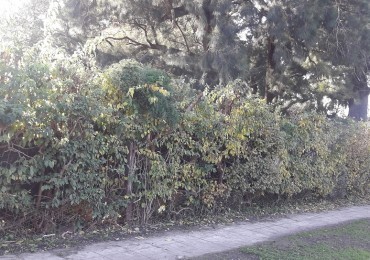 Manuel Artigas 3500, Villa de Mayo